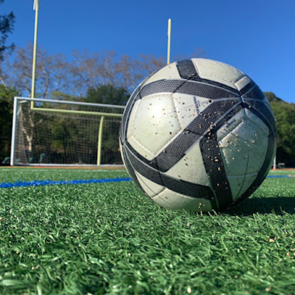 Meet your Posher, Jake - Picture 1 of 1